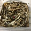 クック78R779☆'s cooksnap of when they made 低糖質＆低脂質！レンジで簡単ピリ辛きのこ.