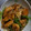 とみんぱす's cooksnap of when they made 簡単！鶏むね肉ともやしピーマン炒め.