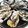 kisr1010's cooksnap of when they made 殻付蒸し牡蠣！レンジで！＜備忘録＞.