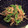 あっこ姉's cooksnap of when they made モロッコいんげんと茗荷の胡麻和え.