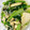 aym_mum's cooksnap of when they made 小松菜としらす炒め.