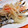saalalan's cooksnap of when they made シシャモの南蛮漬け.
