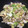 すとろべりーちょこ's cooksnap of when they made 白菜ときのこの炒め物（さば缶入り）.