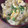 ♡asuka's cooksnap of when they made 白だしを使った本格親子丼.