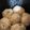 1男4女のママ's cooksnap of when they made 炊飯器で簡単ちぎりパン.