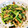 クックE662AA☆'s cooksnap of when they made 小松菜と油揚げのお浸し.