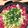 Gofather's cooksnap of when they made 和風だしの牛鍋.