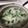 ゆう・しんママ's cooksnap of when they made 餅入り♪中華風七草粥～.