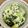 きーきりん's cooksnap of when they made 新じゃがと春菊のポテトサラダ.