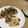 akitchen15's cooksnap of when they made 豚ヒレ肉のゆず胡椒おろしポン酢ソテー.