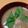 ○りこ○'s cooksnap of when they made 免疫力アップのれんこんと金時人参のお汁.
