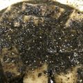 くまちゃんみかん's cooksnap of when they made レンジで簡単♪ごま摺りもち.