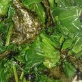 介の姫's cooksnap of when they made ほうれん草の海苔いっぱいサラダ★宇都宮.