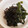 ＊えりち＊'s cooksnap of when they made わかめの塩昆布和え.