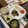 ぐりtoぐら's cooksnap of when they made レンジで簡単！にんじんとピーマンのナムル.