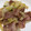 あきもふ's cooksnap of when they made ハクサイとベーコンのとろとろチーズ焼き.