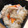 ★ぴよぴよ501★'s cooksnap of when they made 具沢山♪舞茸とシーチキンの炊き込みご飯.