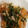 クックZTZ10H☆'s cooksnap of when they made 土用丑の日に簡単♪鰻のタレで鶏の蒲焼き丼.