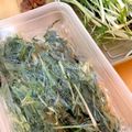 1035's cooksnap of when they made 【調理時間２分】水菜の浅漬け.