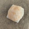 みーゆうひ's cooksnap of when they made 簡単おつまみ&おやつに★チーズせんべい★.