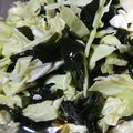 ♥おきるか♥'s cooksnap of when they made すっぱい酢の物.