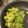 エリコフ's cooksnap of when they made 救済！茹ですぎたブロッコリーの炒め物？.