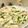 はらぺこしろうさぎ's cooksnap of when they made 豆腐とニラの玉子とじ.