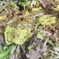 りなゆうと's cooksnap of when they made 白菜たっぷり豚バラもやし.