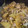 toshio39's cooksnap of when they made 豚肉と白菜とエリンギのオイスター炒め.