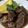 クックCRH9DM☆'s cooksnap of when they made コッコーヴァン　鶏肉の赤ワイン煮込み.