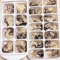 わたさな2016's cooksnap of when they made 牡蠣の冷凍の仕方.