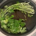ノワコ's cooksnap of when they made しおれたパクチーが蘇るーΣ(ﾟДﾟ).