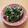 ○りこ○'s cooksnap of when they made 三つ葉としいたけのシーチキンおひたし.