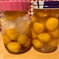 花咲小紅's cooksnap of when they made オンナノコの はちみつ金柑酒.
