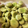 クックVKJINL☆'s cooksnap of when they made そら豆の茹で方～娘へ～.