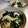 ありありころろ's cooksnap of when they made 簡単☆豆腐の白だしあんかけ～ほうれん草.