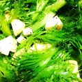 ひなたのねこやなぎ's cooksnap of when they made 水菜とリンゴのシャキシャキサラダ.