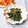 Satoco❋'s cooksnap of when they made インゲンの海苔マヨ和え.