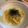 honokaokan's cooksnap of when they made ＊和風たらこパスタ＊.