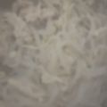 ma___111's cooksnap of when they made ダイエットに！ピリ辛白滝ささみ炒り.