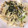 akipopc's cooksnap of when they made バター香る♪白菜の洋風卵とじ.