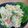 ボブ♪'s cooksnap of when they made 安納芋の大人ポテサラ.