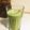 クックJW8I33☆'s cooksnap of when they made 小松菜のグリーンスムージー.