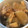♪まーたん♪'s cooksnap of when they made 大根 シーチキン 油揚げ煮物.