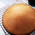 ぷにぷに～mama's cooksnap of when they made デコレーションケーキ用スポンジ.