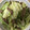 かおり♡♡♡'s cooksnap of when they made 大豆のお肉の野菜炒め.