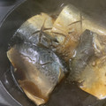 agoagoago's cooksnap of when they made 鯖の煮つけ基本編.