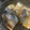 agoagoago's cooksnap of when they made 鯖の煮つけ基本編.