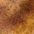 おむすびねこ's cooksnap of when they made あらあら簡単　ベイクドチーズケーキ.