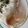 クックPCKCO5☆'s cooksnap of when they made ベトナム料理　ソイ　ガー.